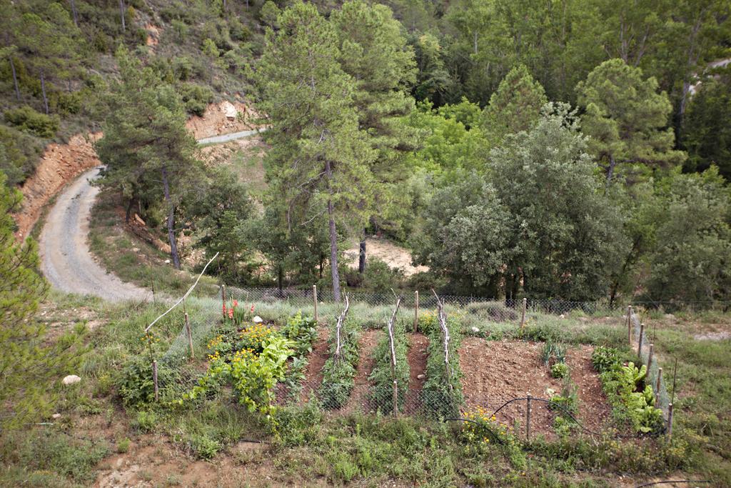 Masia Ca L'Anima Hotell La Baronia de Rialb Rum bild