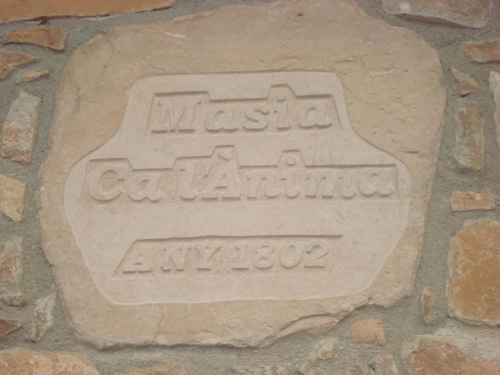 Masia Ca L'Anima Hotell La Baronia de Rialb Rum bild
